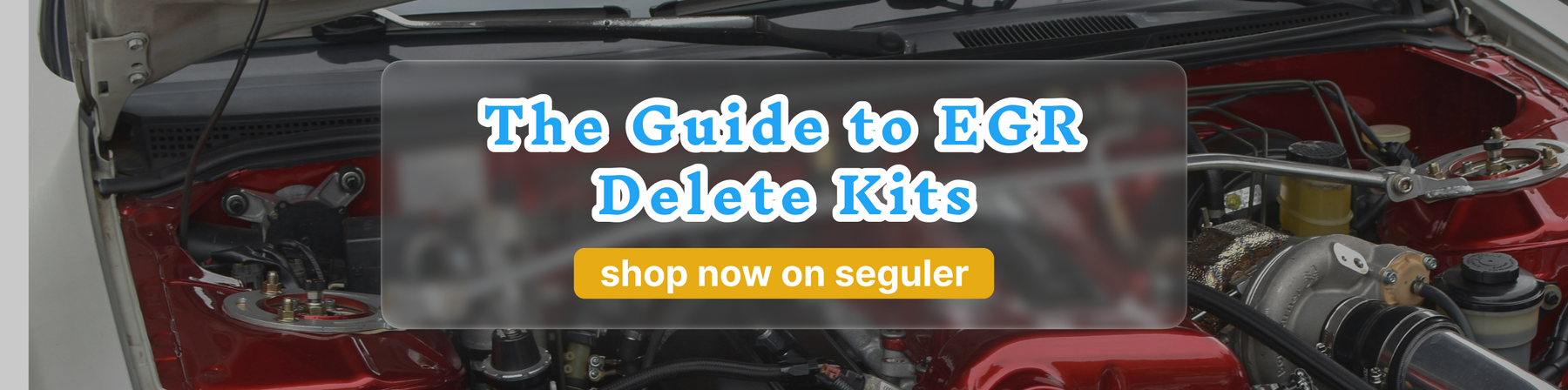 The Ultimate Guide to EGR Delete Kits