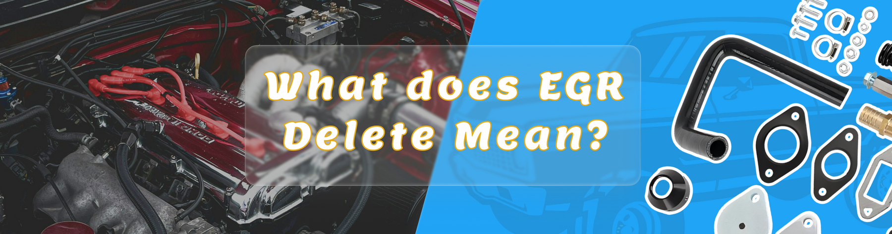 What does EGR Delete Mean?