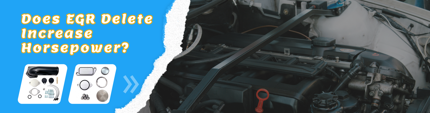 Does EGR Delete Increase Horsepower?