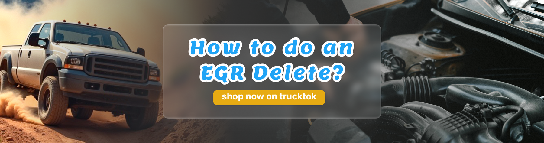 How to do an EGR Delete?