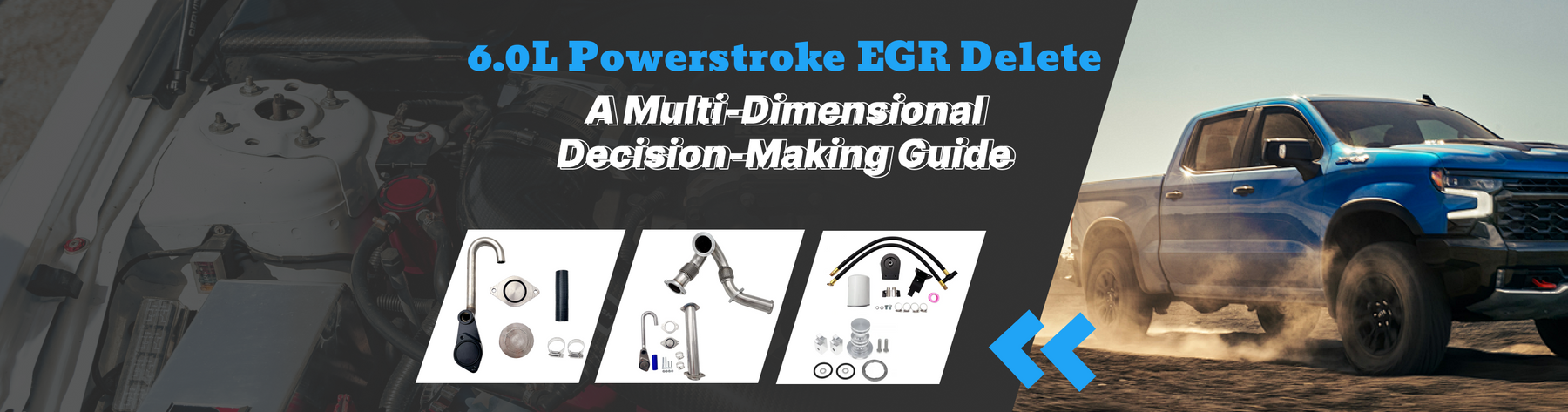 6.0L Powerstroke EGR Delete A Multi-Dimensional Decision-Making Guide