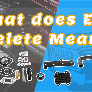 What does EGR Delete Mean?