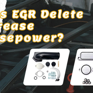 Does EGR Delete Increase Horsepower? (Real Numbers)